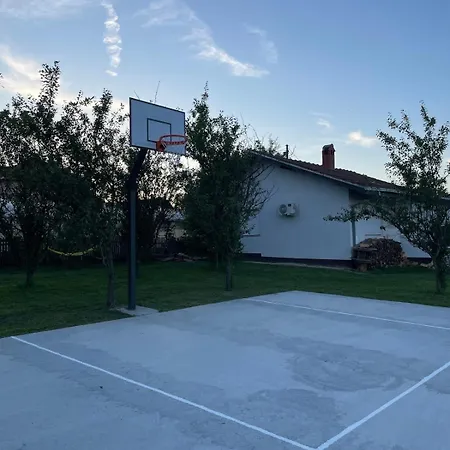 Ferienhaus Deda Momirov Zavicaj