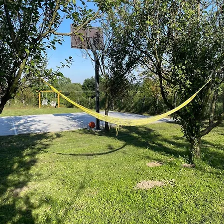 Deda Momirov Zavicaj Tulez