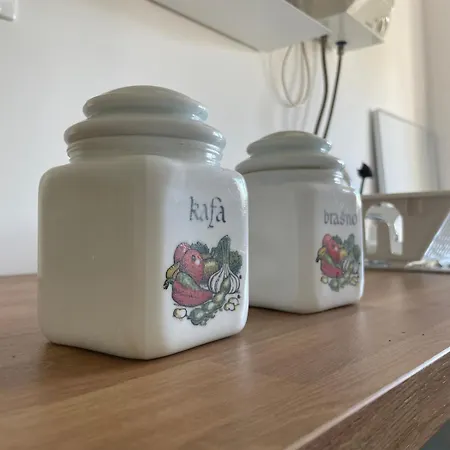 Ferienhaus Deda Momirov Zavicaj