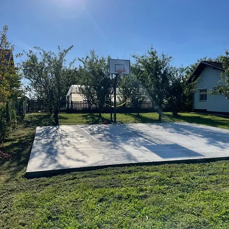 Deda Momirov Zavicaj