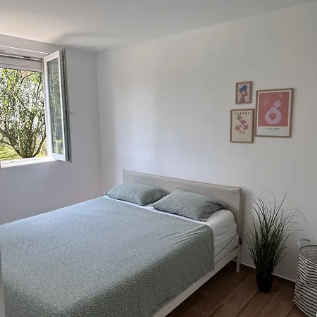 Deda Momirov Zavicaj Tulez