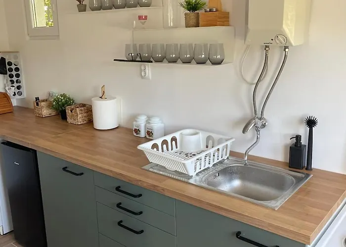 Feriehus Deda Momirov Zavicaj *