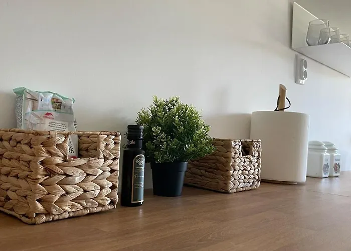 Deda Momirov Zavicaj