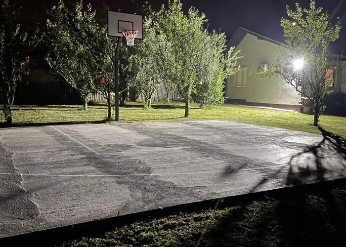 Deda Momirov Zavicaj