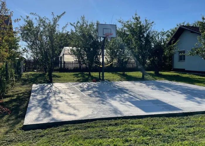 Deda Momirov Zavicaj