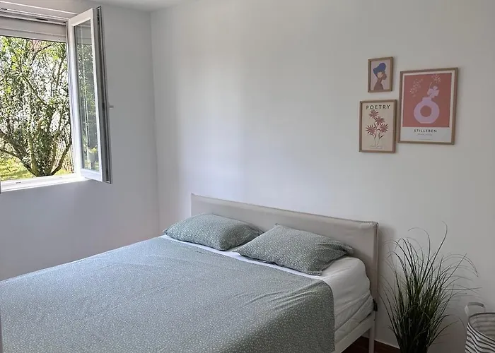 Deda Momirov Zavicaj Tulez