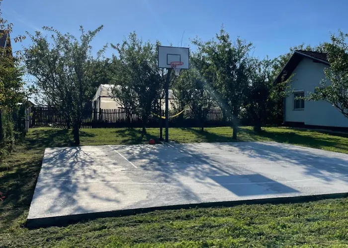 Deda Momirov Zavicaj Tulez