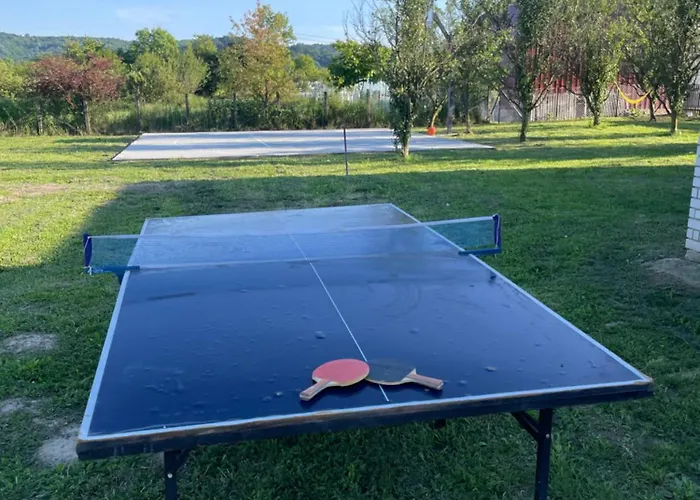 Deda Momirov Zavicaj * Tulez